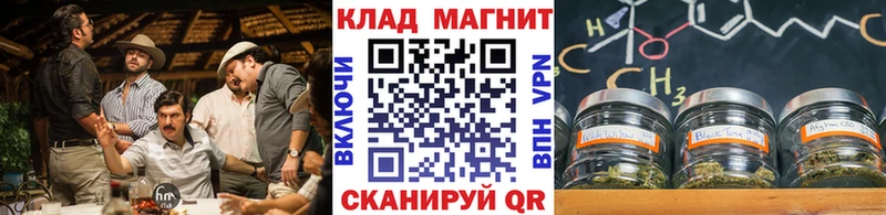 Где купить Шумиха Кокаин  Каннабис  Меф  ЭКСТАЗИ  Гашиш 