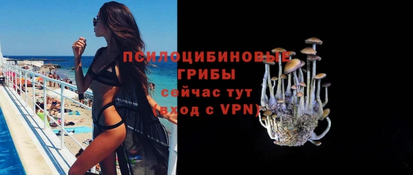 2c-b Ладушкин