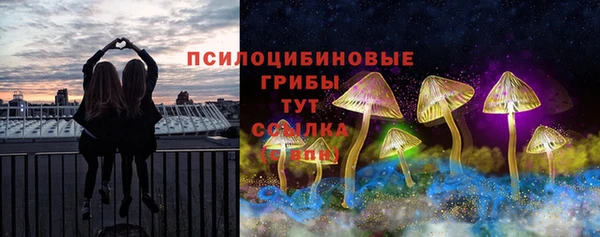 2c-b Ладушкин