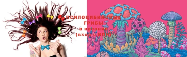 2c-b Ладушкин
