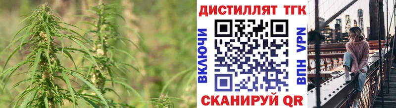 где купить   Шумиха  ТГК THC oil 