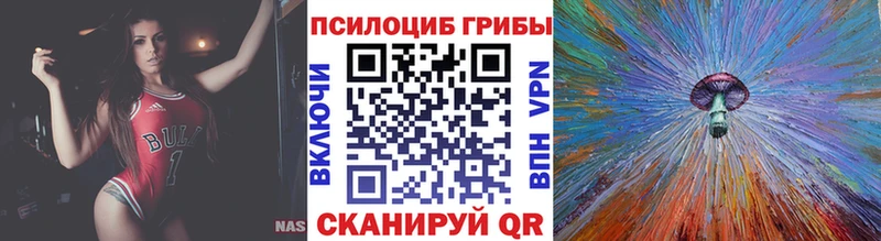 Псилоцибиновые грибы Magic Shrooms  как найти наркотики  Шумиха 